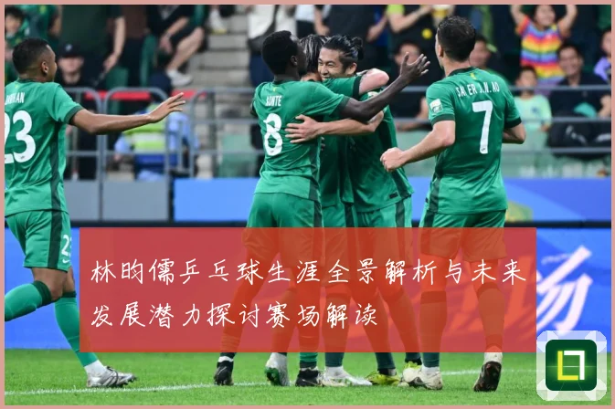 林昀儒乒乓球生涯全景解析与未来发展潜力探讨赛场解读