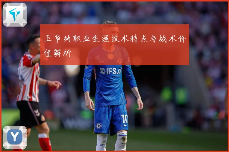 卫华纳职业生涯技术特点与战术价值解析