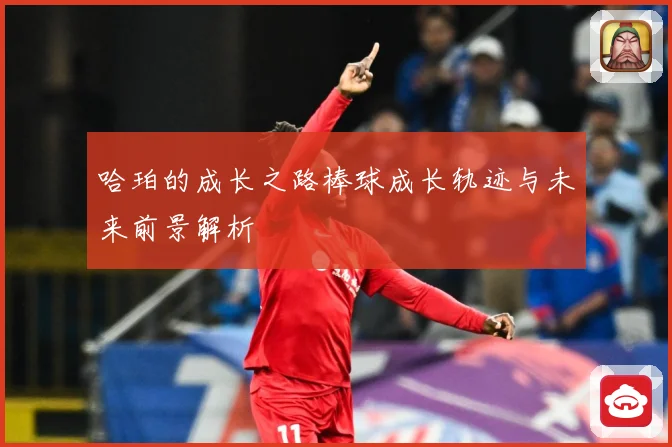 哈珀的成长之路棒球成长轨迹与未来前景解析