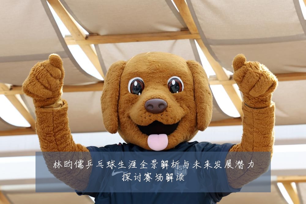 林昀儒乒乓球生涯全景解析与未来发展潜力探讨赛场解读