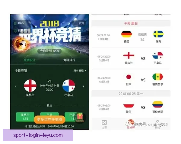 世界杯竞猜投注玩法全解析助你掌握投注技巧与投注技巧提升策略